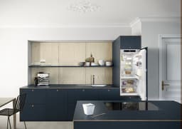 ХЛАДИЛНИК LIEBHERR IRBd 4120 thumbnail 3