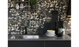 МИВКА FRANKE BXX 210-68 thumbnail 2